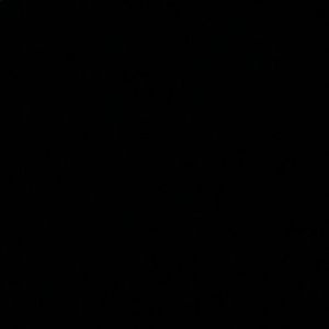 Meet your Posher, Ernesto